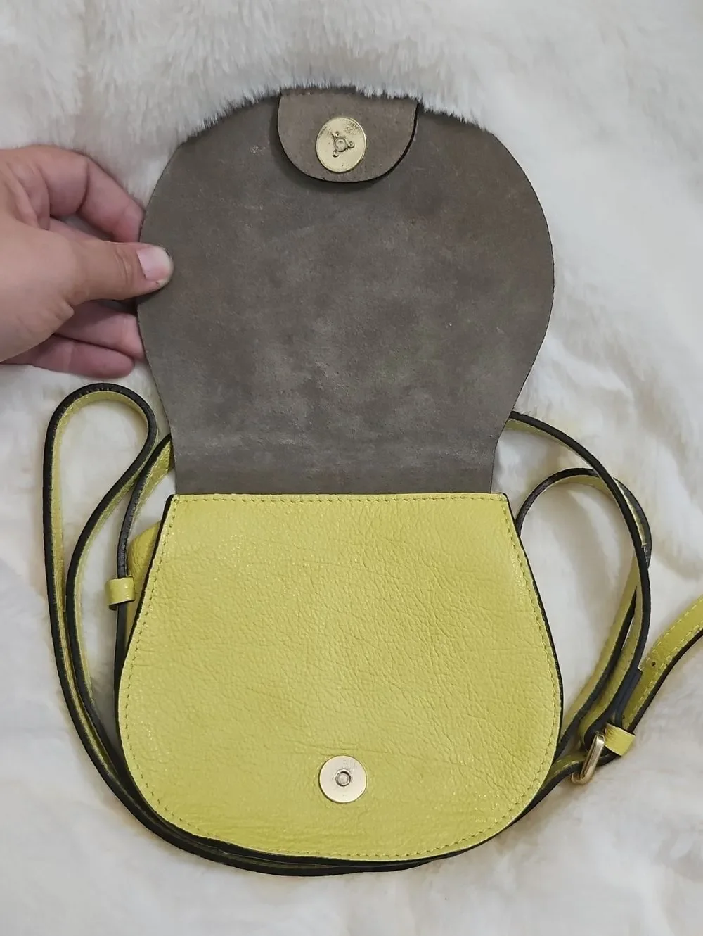 Gianni Chiarini Genuine Leather Crossbody Bag | Snake Print & Lime Green